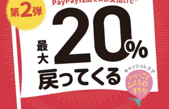 町田市 PayPay で最大２０%還元！！